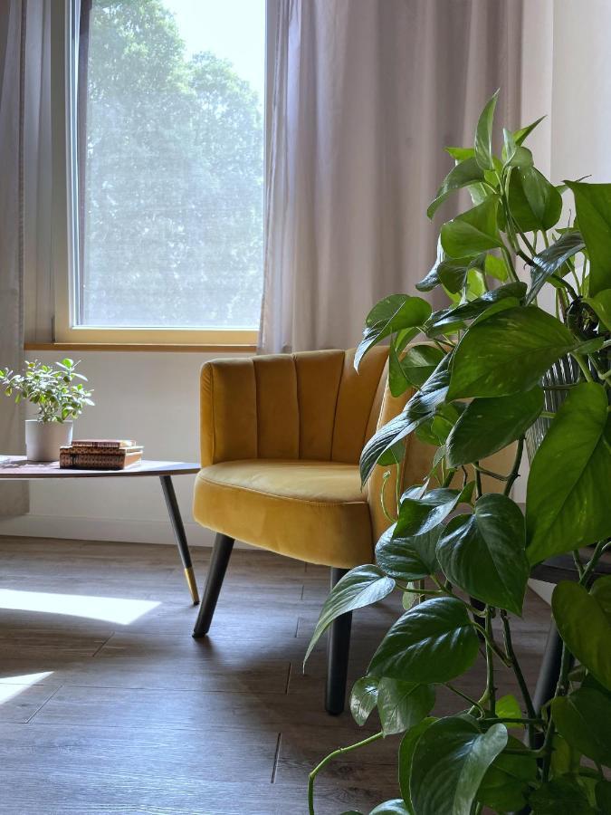 Alkimia Smart Rooms Ferrara Eksteriør billede